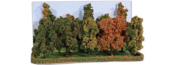 Herbstwald, 10 Baeume 10-14cm