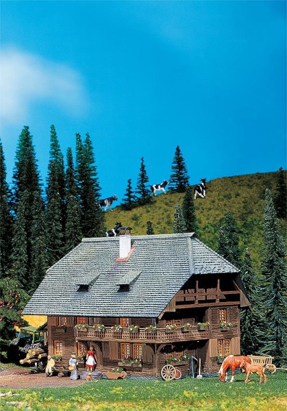 Schwarzwaldhaus
