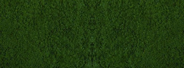 Foliage, dunkelgrün