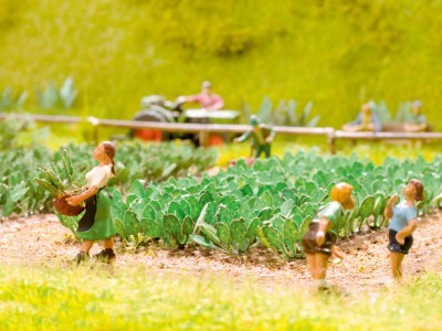 Laser minis "Rüben"