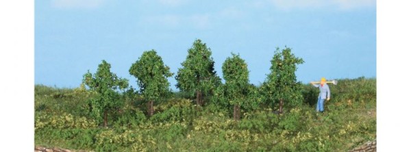 5 Laubbäume 4 cm