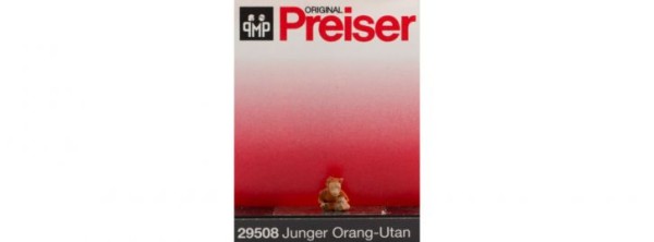 Junger Orang-Utan
