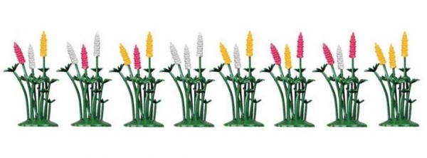 8 Stauden Zierlupinen