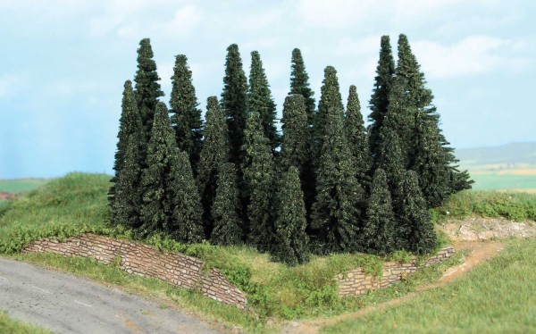 Tannenwald, 24 Tannen 5-11 cm