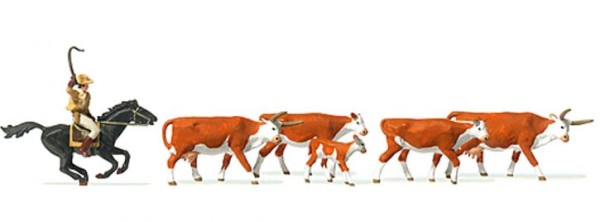 Langhornrinder, Cowby zu Pfer