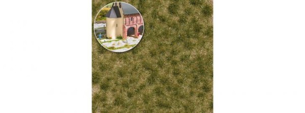 Grasbüschel zweifarbig lang Frühling