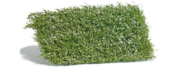 Sträuchermatte Frühling