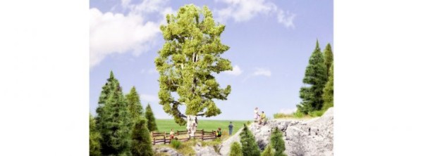 Doppelstämmige Birke, 19 cm h