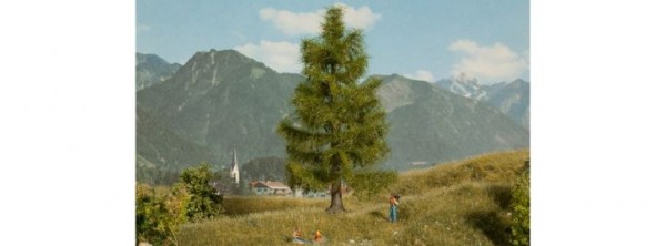 HO/TT/N Fichte, 14,5cm