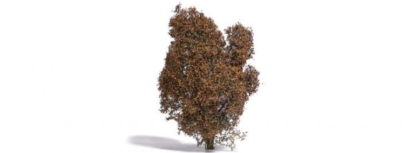 Filigranbusch Herbst