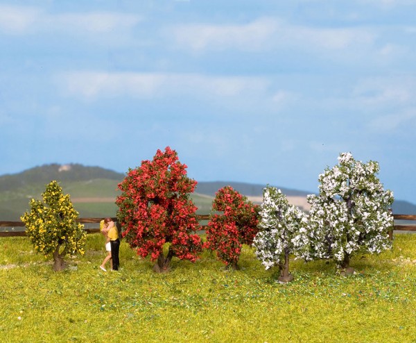 Stäucher blühend, 5 Stück
