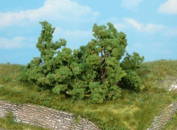 5 Büsche und Sträucher