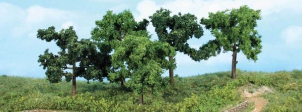 5 Obstbäume 8-10 cm