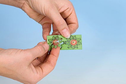 Laser minis "Rhabarber"