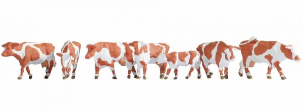 Kühe, braun-weiß