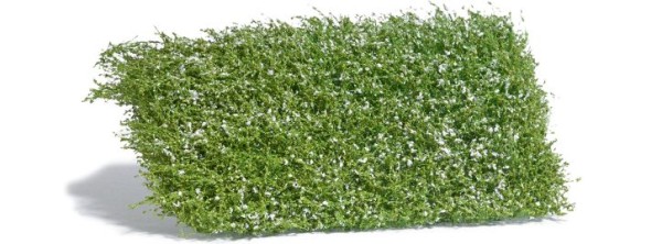 Sträuchermatte weiß blühend