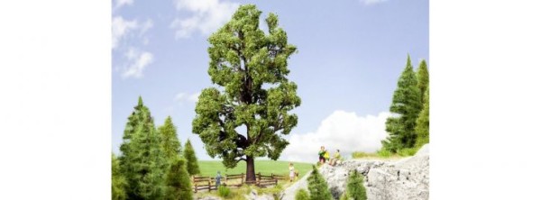 Kastanie, 18,5 cm hoch