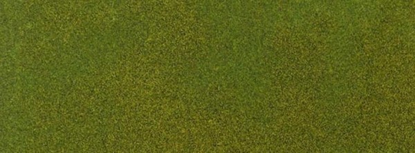 Kurzrasen Mai/Gelbgrün
