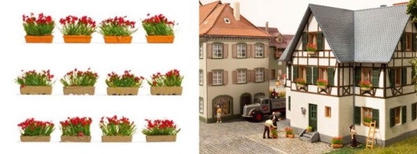 Blumenkästen blühend rot