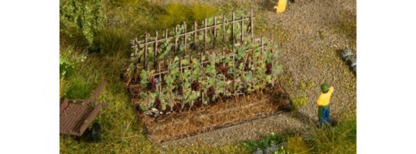 Weinreben mit blauen Trauben