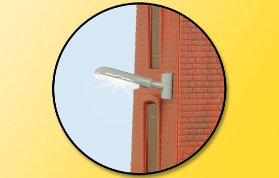 Peitschenl.f. Wandbefest.