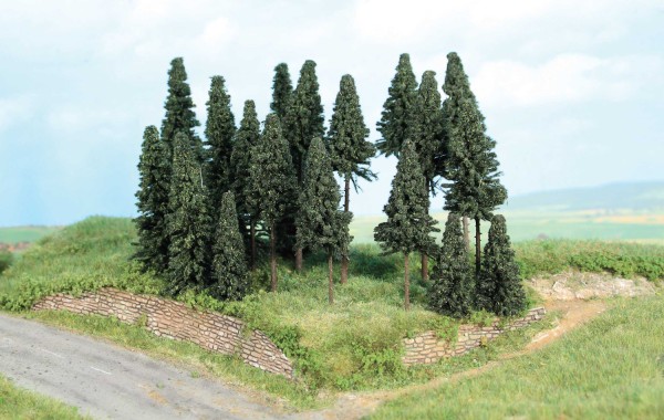 Tannenwald, 20 Tannen 5-11 cm