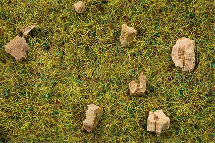 Streugras Steinige Bergwiese