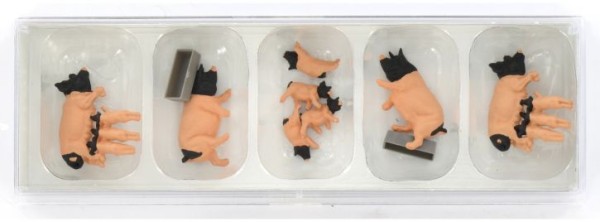 Schwäbisch Hällische Schweine