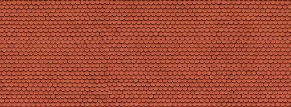 3D-Kartonplatte Biberschwan