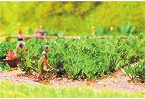 Laser minis "Zucchini"