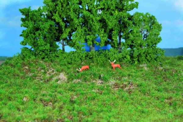 Strukturgras Waldboden 19x30