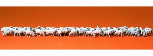 Schafherde, 60 Figuren