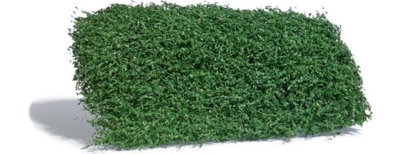 Sträuchermatte Sommer