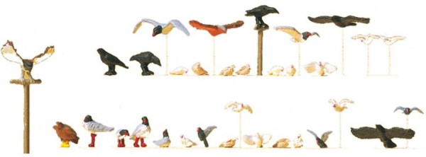 Tauben, Möwen, Krähen und R..