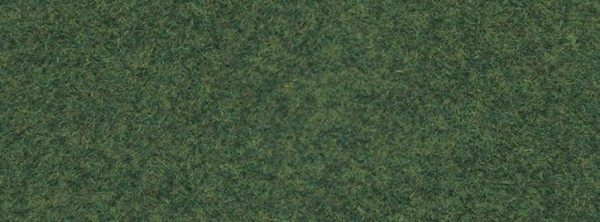 Streugras, olivgrün, 2,5 mm