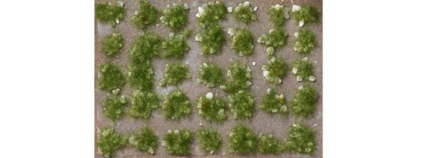 Grasbüschel mit Steinen Späts