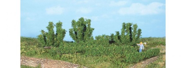 8 Büsche und Hecken 0,7 - 5 c