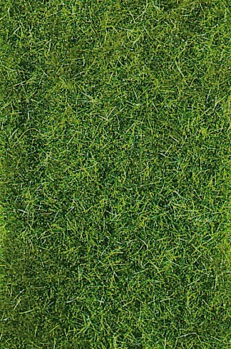 Wildgras dunkelgrün