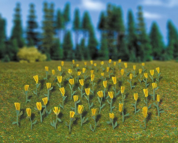 H0-Tulpen gelb