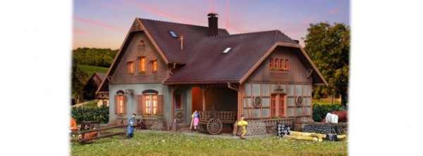 Bauernhaus mit Remise