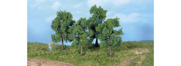 4 Zwetschgenbäume 6 + 9 cm