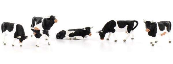 Kühe, schwarz gefleckt