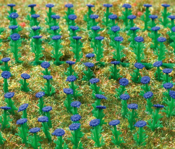 H0-Astern dunkelblau