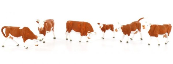 Kühe, braun gefleckt
