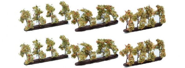 Plantagenbäume mit Äpfeln