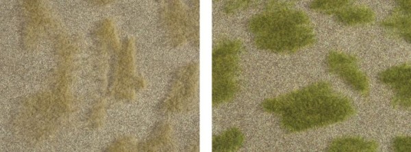 Natur+ "Grassteppe"