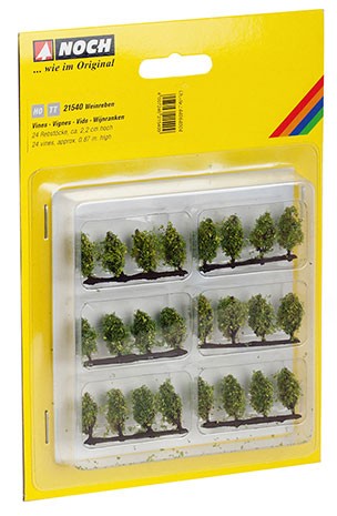 Weinreben, 24 Rebstöcke