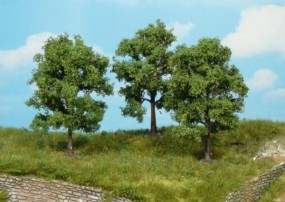 3 Obstbäume