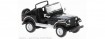 Jeep CJ-7 Laredo, schwarz, 19