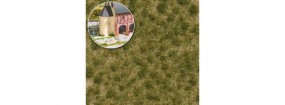 Grasbüschel zweifarbig lang Frühling Grasbüschel zweifarbig lang Frühling